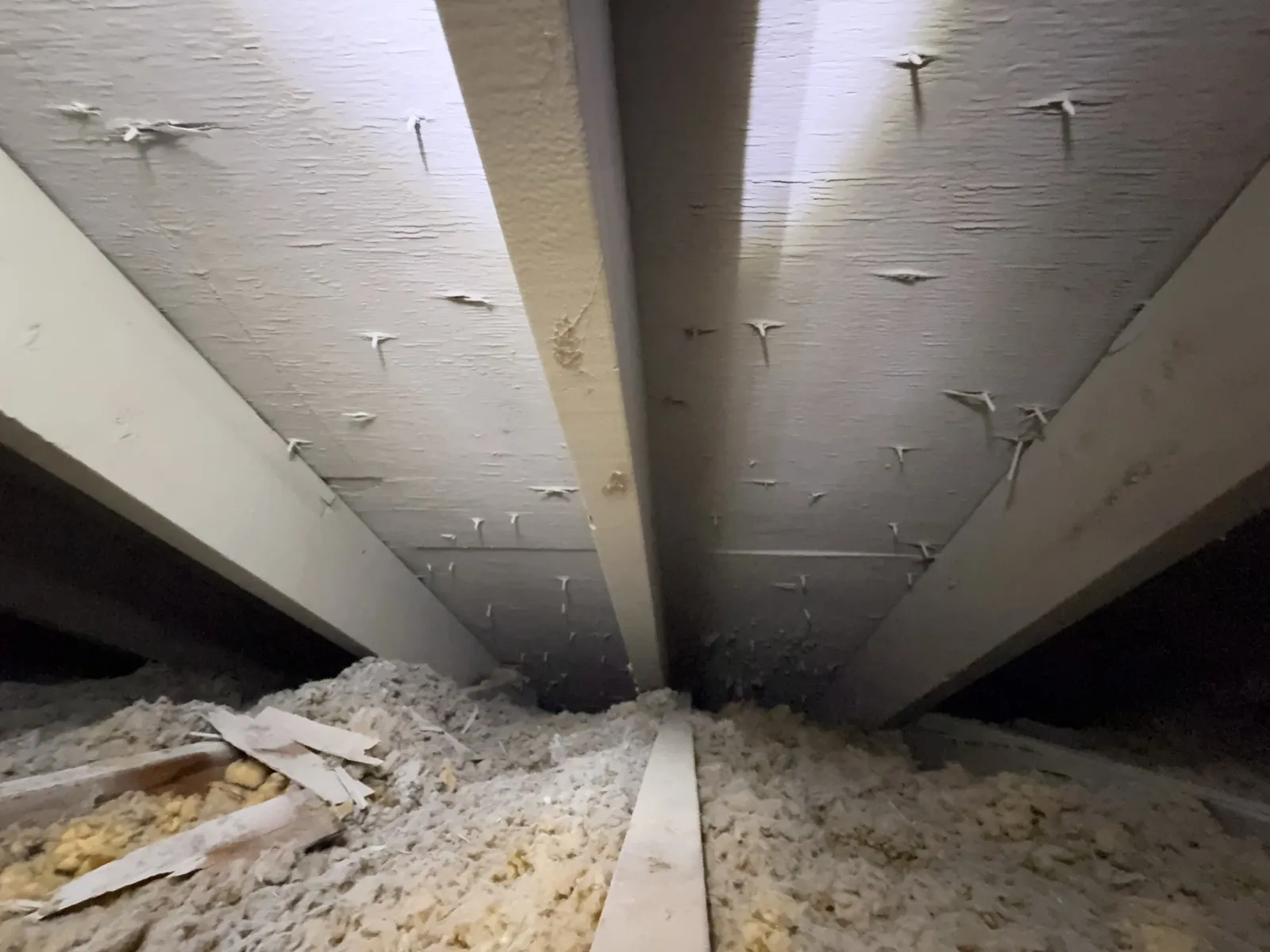 Attic roof sheathing and rafters coated with a white paint-type product