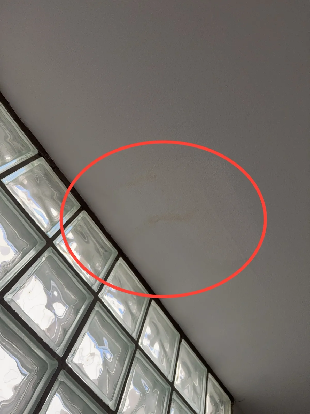 Glass block window with light staining on the painted wall beside it, circled in red